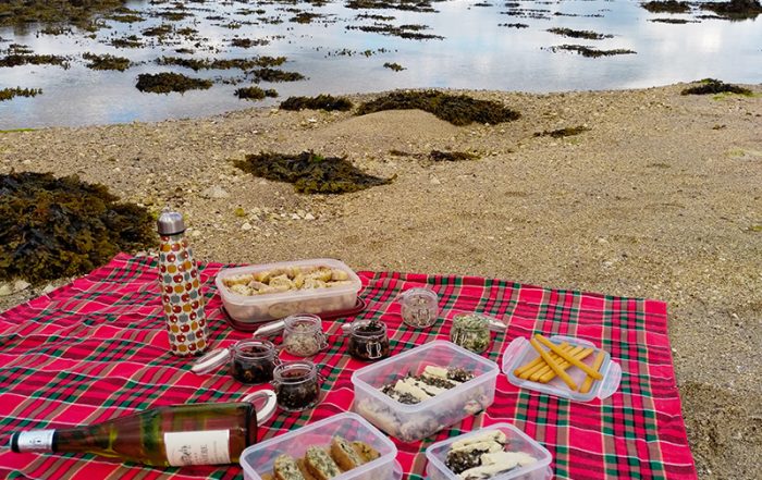 pique-nique-kayak-700×441 Balade en kayak sur la cote du goëlo et dégustation produits du terroir